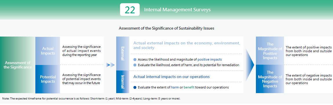 Assessment of the Significance of Sustainability Issues